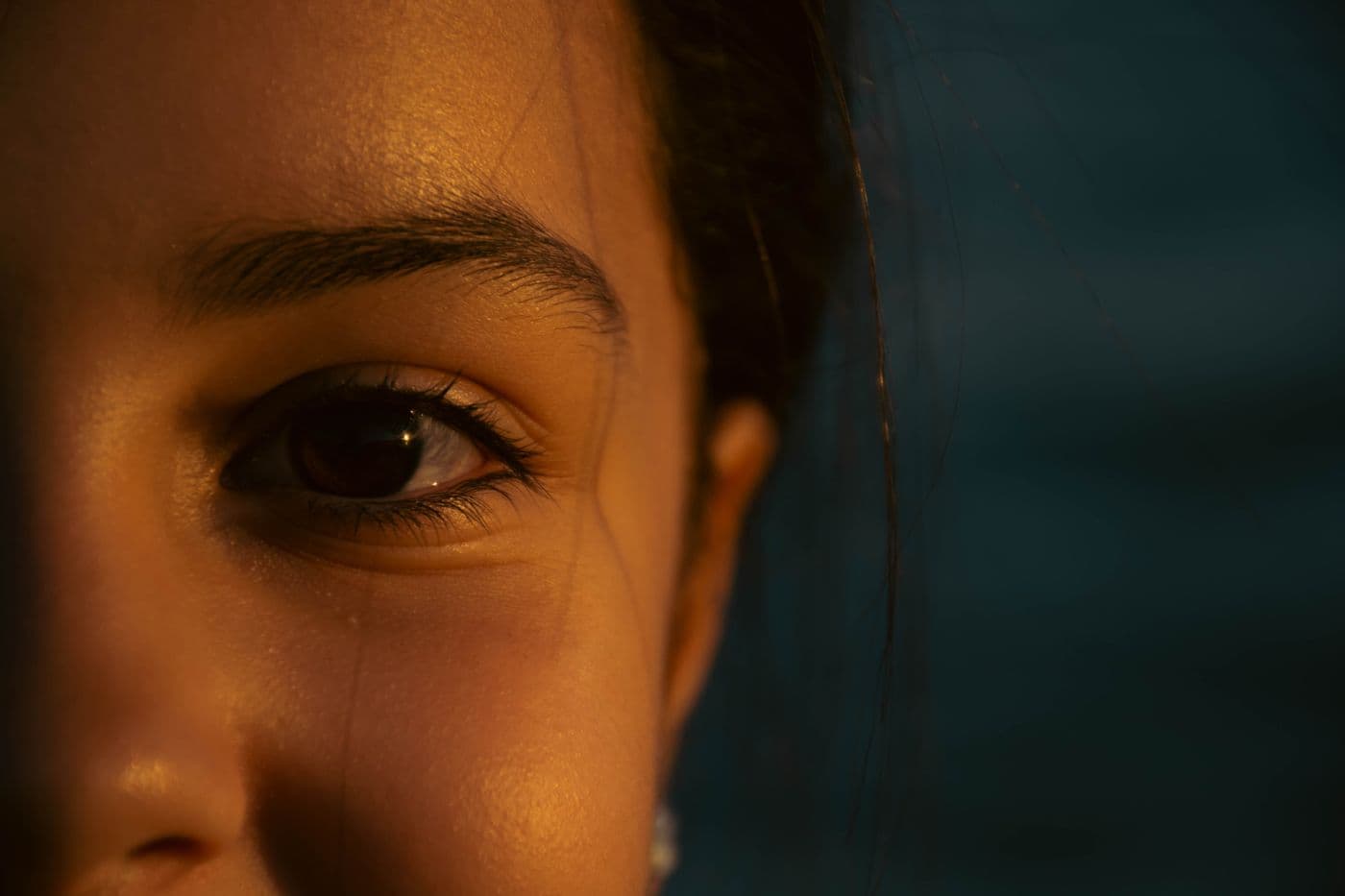 Close crop of an eye and brow in warm evening light